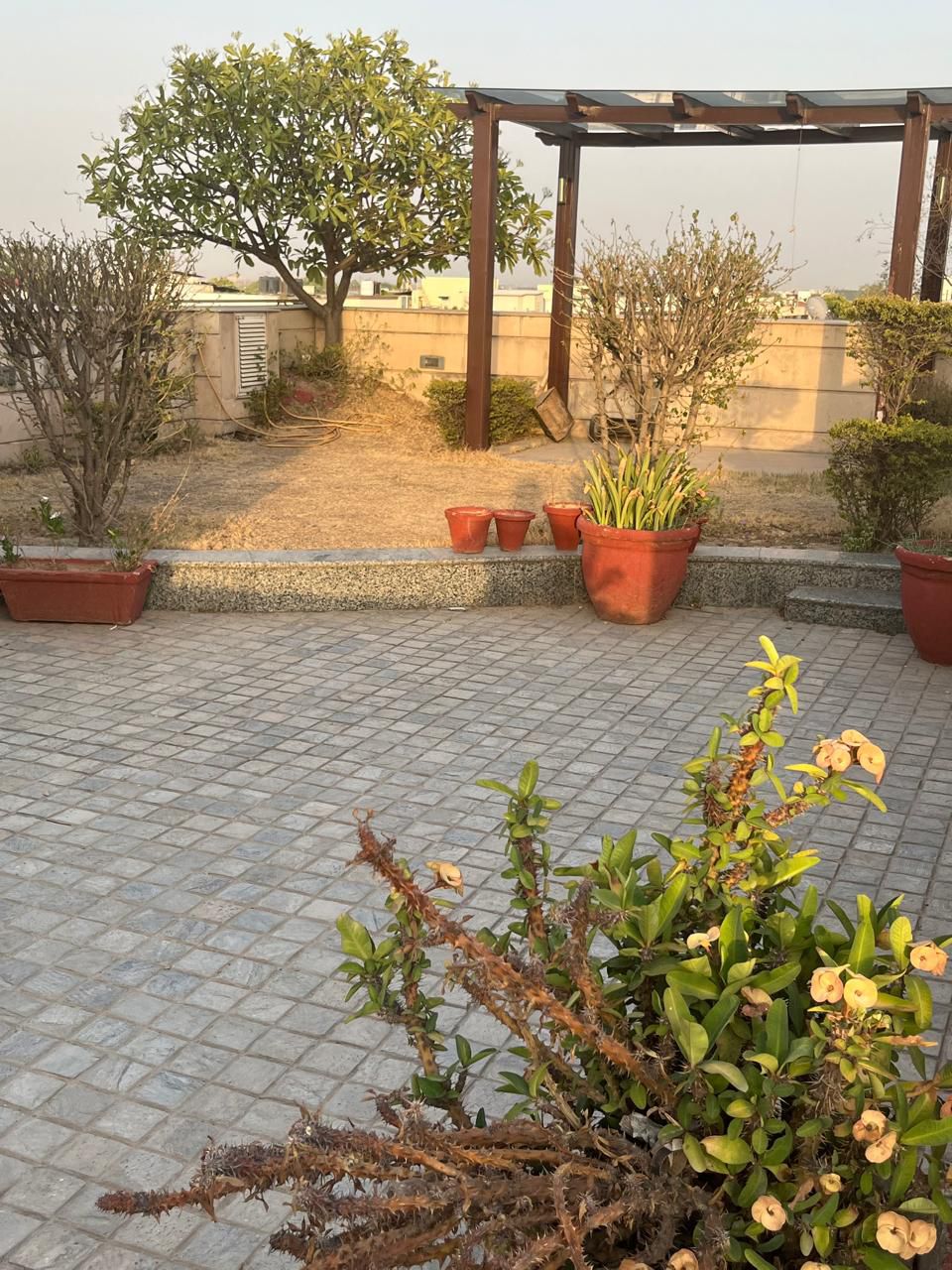 Vasant Vihar